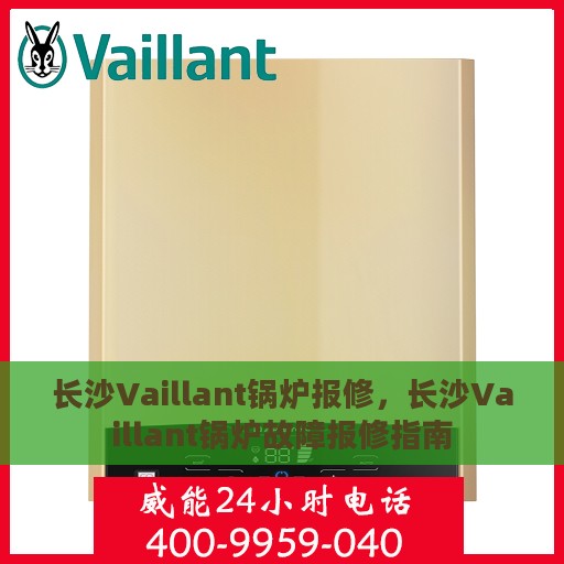 长沙Vaillant锅炉报修，长沙Vaillant锅炉故障报修指南
