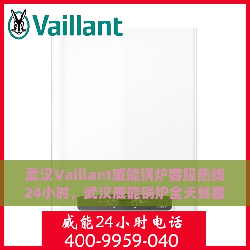 武汉Vaillant威能锅炉客服热线24小时，武汉威能锅炉全天候客服热线，专业解答，服务不停歇