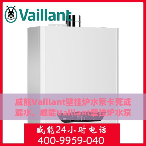 威能Vaillant壁挂炉水泵卡死或漏水，威能Vaillant壁挂炉水泵故障解析，卡死与漏水问题探讨
