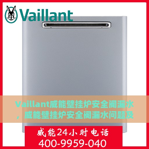 Vaillant威能壁挂炉安全阀漏水，威能壁挂炉安全阀漏水问题及解决策略