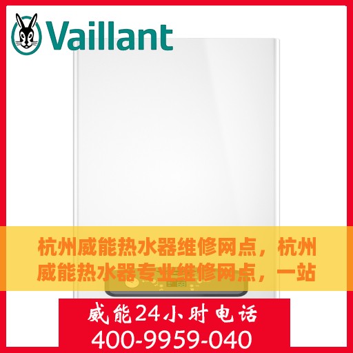 杭州威能热水器维修网点，杭州威能热水器专业维修网点，一站式服务解决您的热水器问题