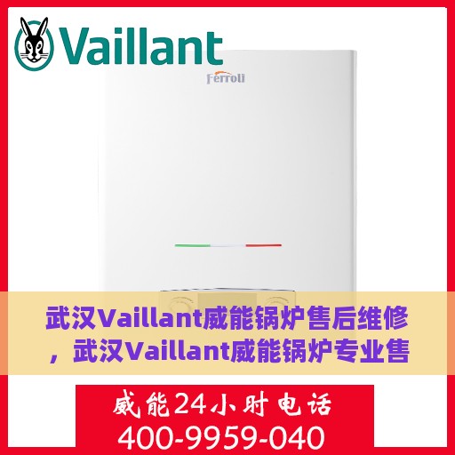 武汉Vaillant威能锅炉售后维修，武汉Vaillant威能锅炉专业售后维修服务团队