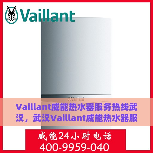 Vaillant威能热水器服务热线武汉，武汉Vaillant威能热水器服务热线专业解析，解决您的热水难题