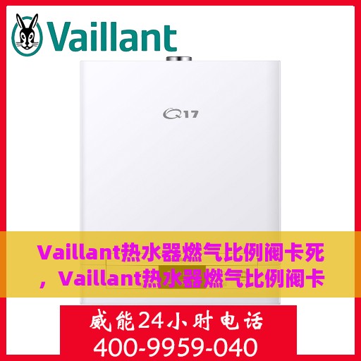 Vaillant热水器燃气比例阀卡死，Vaillant热水器燃气比例阀卡死故障解析与解决方案