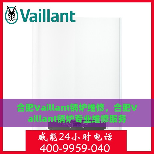 合肥Vaillant锅炉维修，合肥Vaillant锅炉专业维修服务