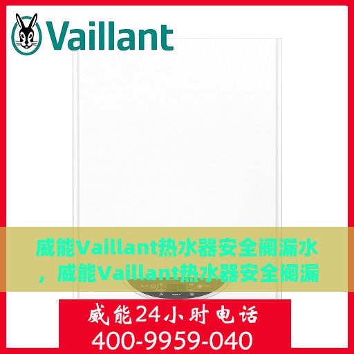 威能Vaillant热水器安全阀漏水，威能Vaillant热水器安全阀漏水问题解析