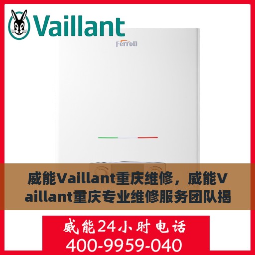 威能Vaillant重庆维修，威能Vaillant重庆专业维修服务团队揭秘