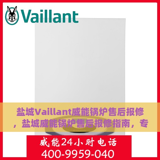 盐城Vaillant威能锅炉售后报修，盐城威能锅炉售后报修指南，专业维修团队，快速解决故障问题