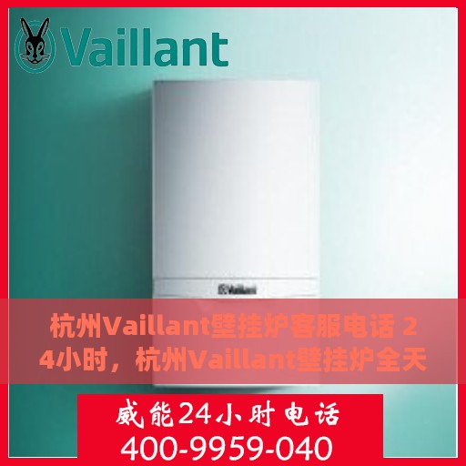 杭州Vaillant壁挂炉客服电话 24小时，杭州Vaillant壁挂炉全天候客服热线，专业解答，温暖无忧