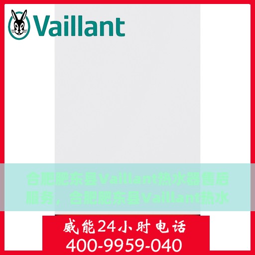 合肥肥东县Vaillant热水器售后服务，合肥肥东县Vaillant热水器售后服务解析与指南