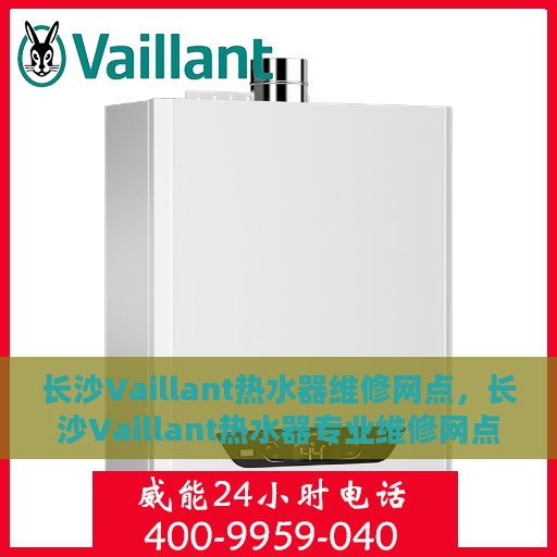 长沙Vaillant热水器维修网点，长沙Vaillant热水器专业维修网点，全方位服务，为您的生活保驾护航