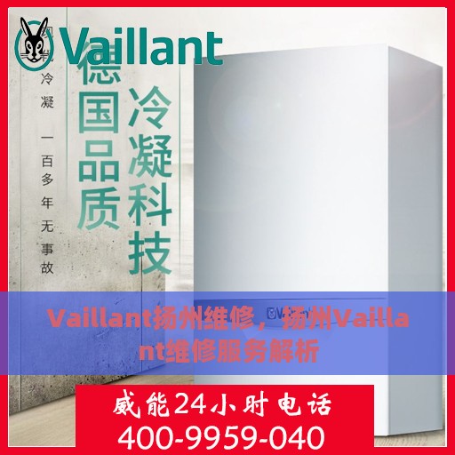 Vaillant扬州维修，扬州Vaillant维修服务解析