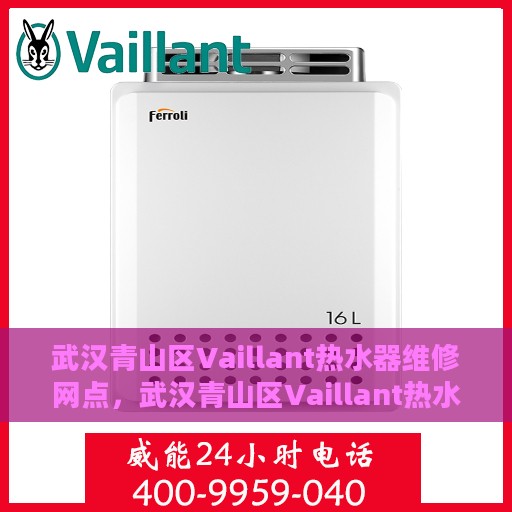 武汉青山区Vaillant热水器维修网点，武汉青山区Vaillant热水器专业维修网点服务解析