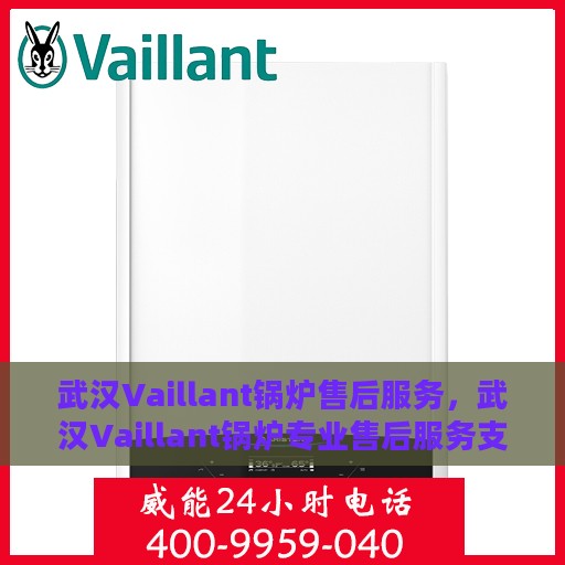 武汉Vaillant锅炉售后服务，武汉Vaillant锅炉专业售后服务支持