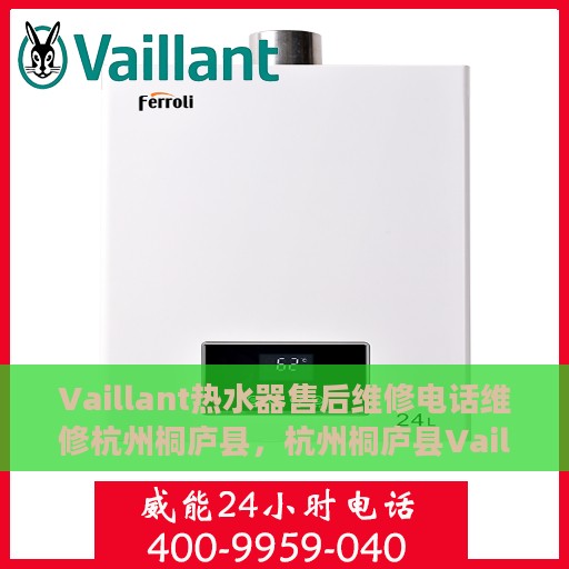 Vaillant热水器售后维修电话维修杭州桐庐县，杭州桐庐县Vaillant热水器售后维修服务热线及专业维修团队解析
