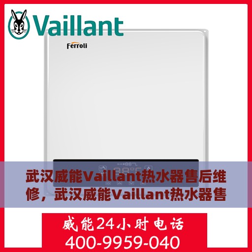 武汉威能Vaillant热水器售后维修，武汉威能Vaillant热水器售后维修专业服务解析