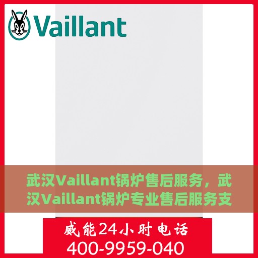 武汉Vaillant锅炉售后服务，武汉Vaillant锅炉专业售后服务支持