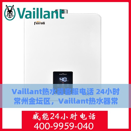 Vaillant热水器客服电话 24小时常州金坛区，Vaillant热水器常州金坛区全天候客服热线，贴心服务不打烊