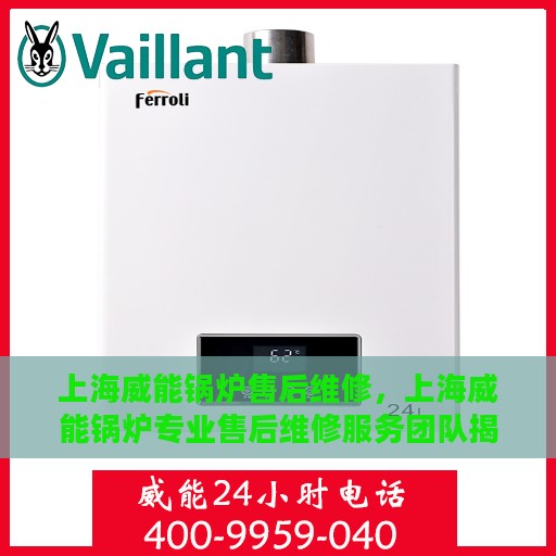 上海威能锅炉售后维修，上海威能锅炉专业售后维修服务团队揭秘