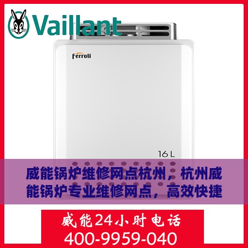 威能锅炉维修网点杭州，杭州威能锅炉专业维修网点，高效快捷的锅炉维护与保养服务