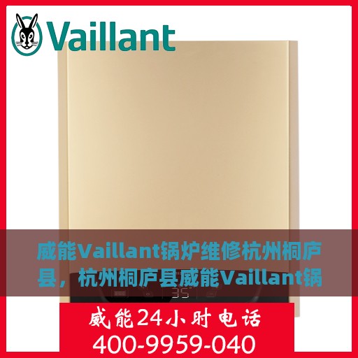 威能Vaillant锅炉维修杭州桐庐县，杭州桐庐县威能Vaillant锅炉专业维修服务