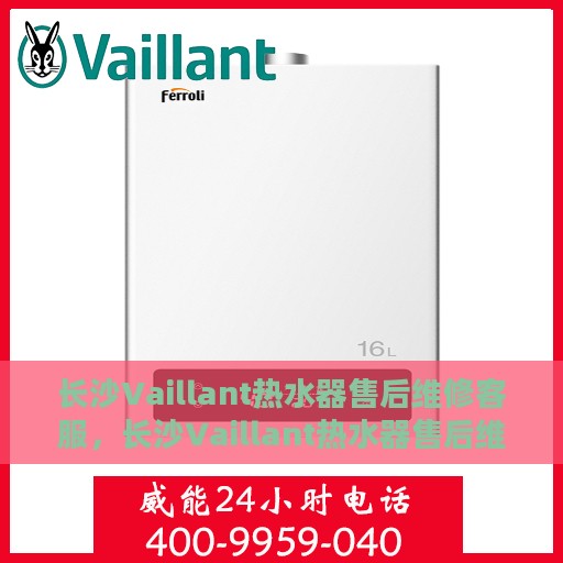 长沙Vaillant热水器售后维修客服，长沙Vaillant热水器售后维修专业客服团队，贴心服务保障您的舒适生活